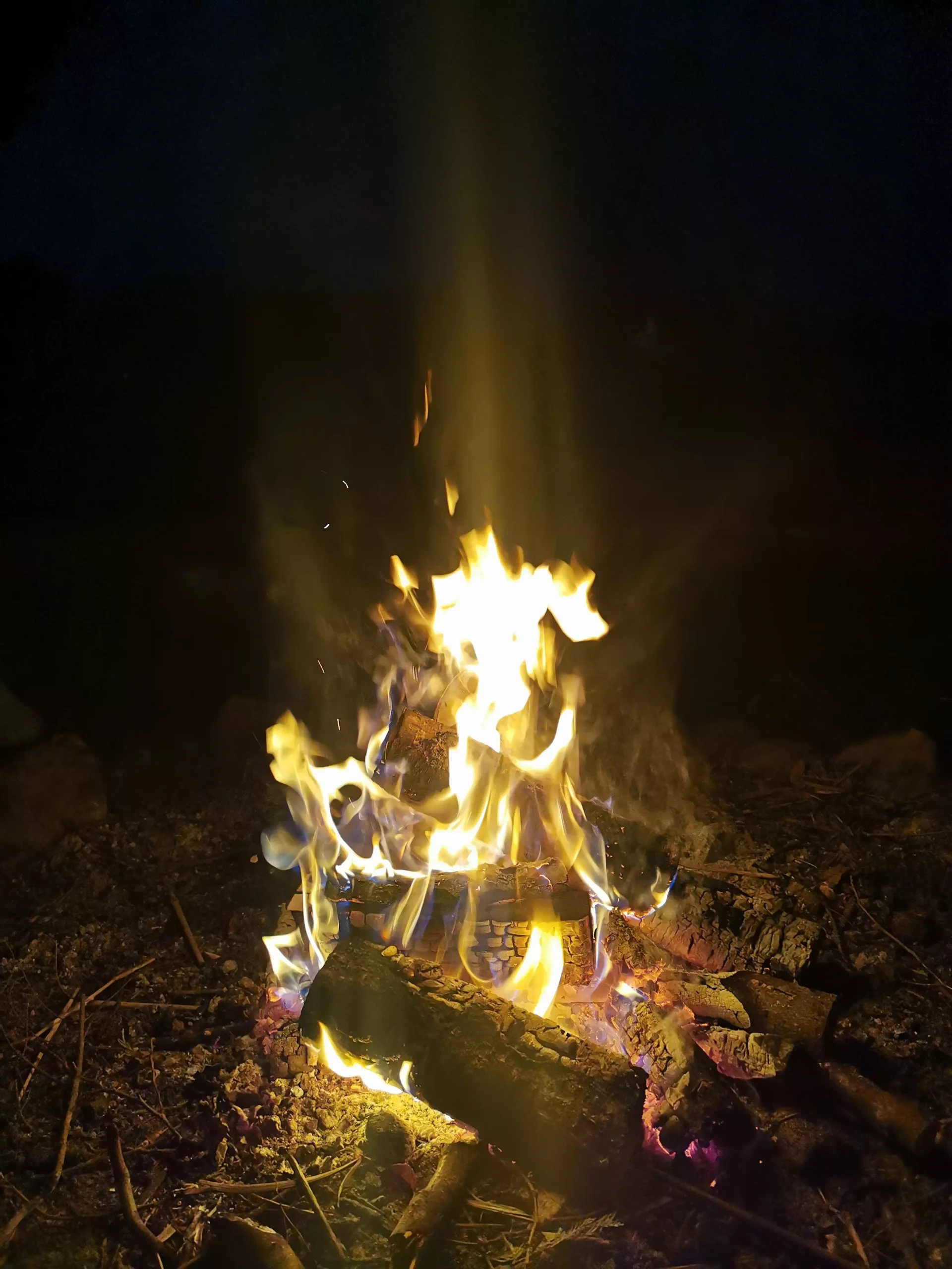 agro norwa ognicho scaled