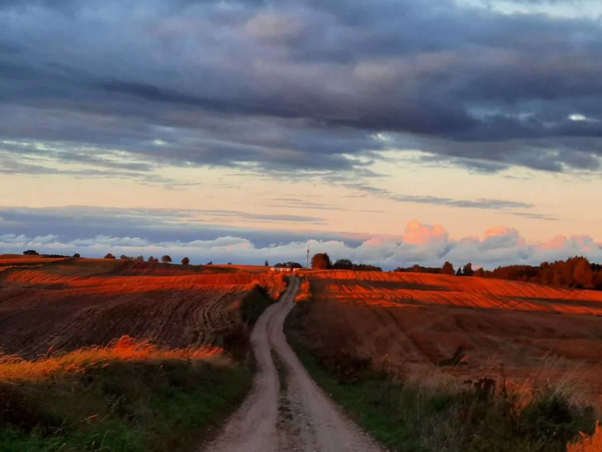 agro norwa pola scaled