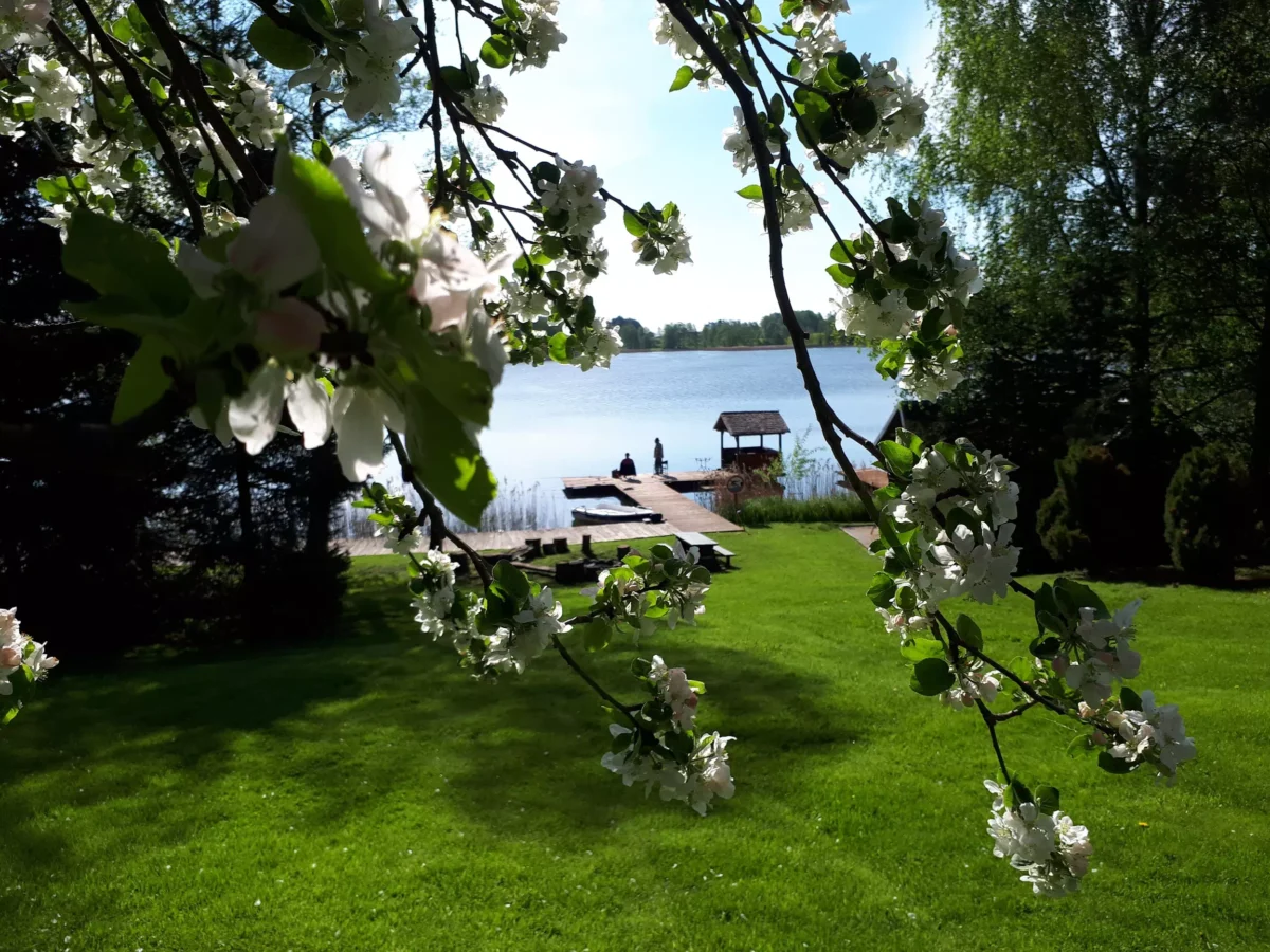 agro norwa widok na pomost