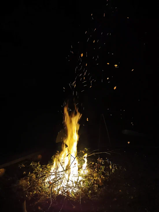 agro norwa ognisko scaled