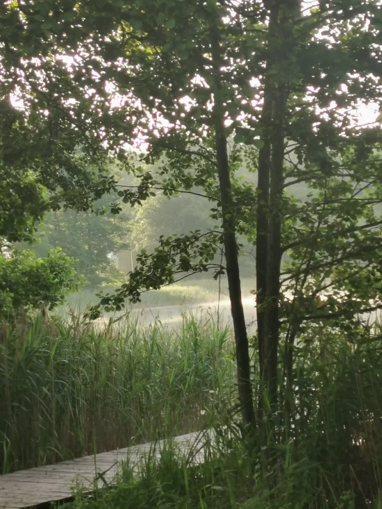 agro norwa sciezka spacerowa scaled