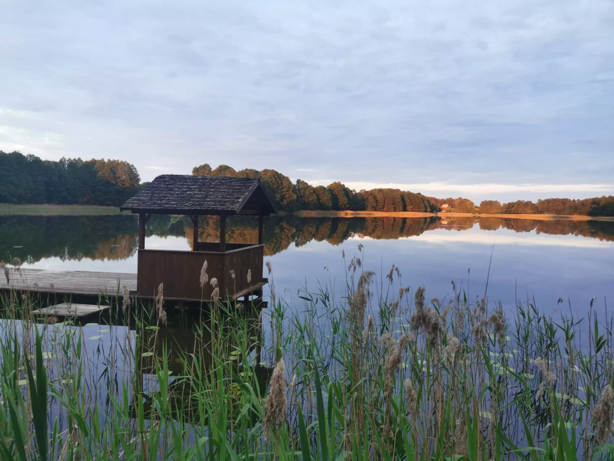 agro norwa tatarak scaled